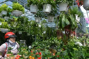 Hoa lạ, kiểng độc rục rịch ra chợ tết