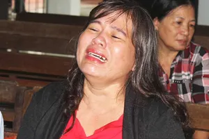 Người kiện vụ 4 chiếc cọc khóc ngất khi tòa tuyên án