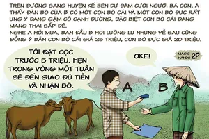 Tình huống kỳ 24: Lúng túng vì bò mẹ đẻ bò con