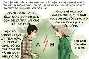 Tình huống kỳ 24: Lúng túng vì bò mẹ đẻ bò con