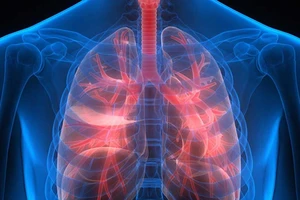 Sắp ‘in’ được nội tạng người