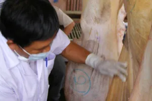 Thịt bơm nước đe dọa bữa ăn tết