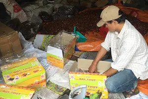 Bánh mứt, trái cây Trung Quốc “tấn công” tết