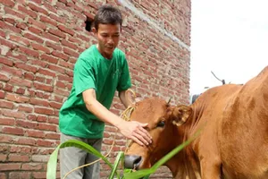 Phát động cuộc thi báo chí viết về giảm nghèo