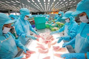 Hàng loạt doanh nghiệp Việt 'sập bẫy' đối tác ngoại 