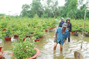 Dân Sài Gòn phập phồng lo tết… ngập