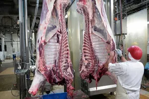 Pháp bắt buộc bố trí máy ghi hình trong cơ sở giết mổ 