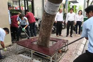 Lãnh đạo quận 1 kiểm tra, dẹp lấn chiếm vỉa hè