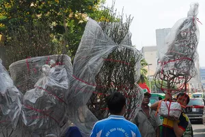 Chấp nhận xa nhà ngày Tết để có thu nhập cao 