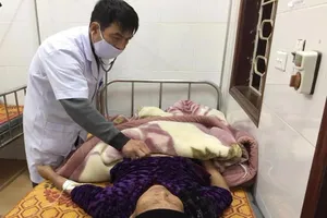 Suýt chết vì ăn rễ cây độc, tưởng là… nhân sâm