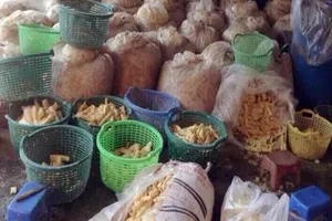 TP.HCM tập trung chặn thực phẩm bẩn dịp tết