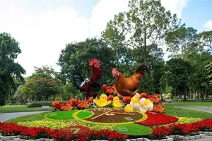 Bonsai ngoại, cá lạ, dừa 3 ngọn góp mặt hội hoa xuân