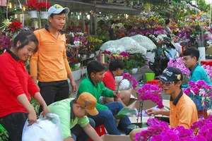 Hoa đẹp, kiểng lạ ba miền hội tụ về Sài Gòn
