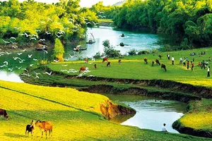 Nam Bộ tình đất tính người