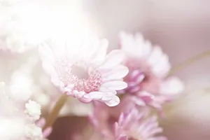 Cuối năm nhớ sóng sông dài