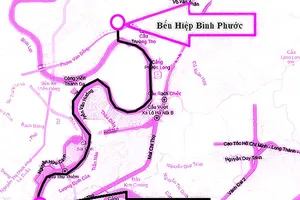 Buýt đường sông TP.HCM hoạt động ra sao? 