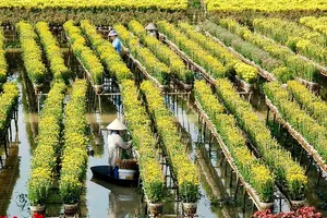 Khi lãnh đạo bắt tay làm du lịch