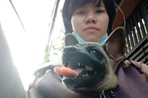 Đăng ký nuôi chó để làm gì?