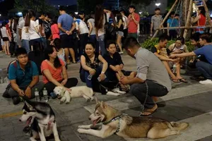 Nuôi chó trong thành phố, có bị phạt?