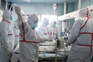 Một nửa Trung Quốc bị ảnh hưởng bởi cúm gia cầm 