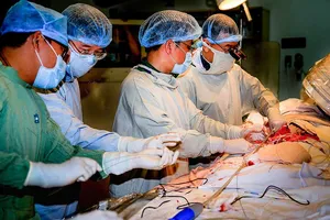 Những bàn tay đánh thức nhịp đập trái tim