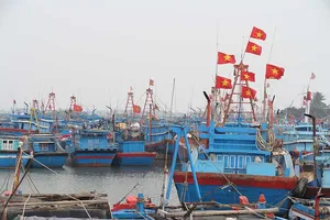 Tặng 3.000 cờ Tổ quốc cho ngư dân Quảng Ngãi