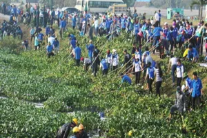 550 sinh viên, thanh niên khơi thông rạch Cầu Suối