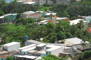 Đất trống không hợp quy hoạch được làm gì?