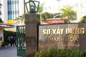 Thanh tra việc bổ nhiệm bà Quỳnh Anh