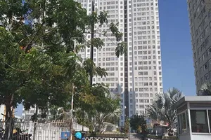 Quốc Cường Gia Lai bấm bụng kiện “thượng đế“