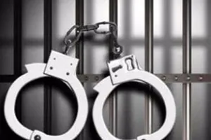 Bó tay với 1001 lý do 'trời ơi' để né đi tù