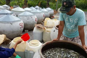 Vụ 'nước mắm nhiễm asen': Vì sao luật cũng…bó tay?