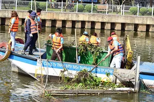 Mở tour… vớt rác cho du khách