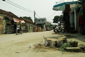 Dẹp vỉa hè chặt cây xanh: Huyện nói sai, xã bảo đúng!