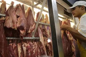 'Phát hoảng' với gà siêu rẻ Brazil: 7.000 đồng/kg