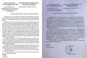 Vụ ca khúc Màu hoa đỏ: Sở VH-TT&DL gửi lời xin lỗi