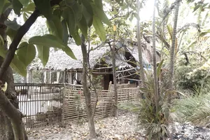  Thủ tướng: Gần đây xảy ra nhiều vụ xâm hại trẻ em...