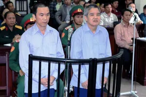 Nguyên đại tá và thuộc cấp lãnh án vì hủy hoại rừng