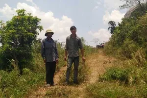 Lái máy kéo gây tai nạn trên rẫy, tội gì? 