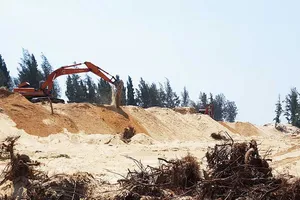 Phá hơn 100 ha rừng để… kịp thi hoa hậu! 