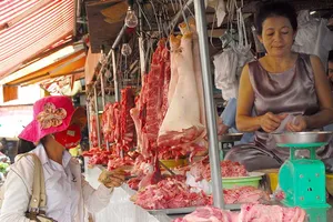 Nông dân vừa bán heo vừa khóc