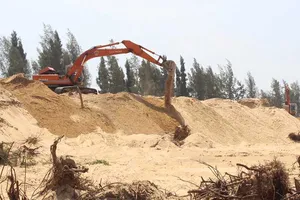 Bộ Công an vào cuộc vụ phá rừng ở Phú Yên