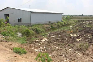 Tiền Giang: Chôn trộm hàng trăm tấn chất thải 