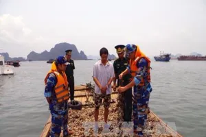 Tiêu hủy 9 tấn hàu giống không rõ nguồn gốc