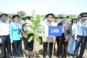 Đoàn nghị sĩ trồng 50 cây bàng vuông ở Cần Giờ