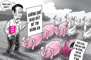 Chấp hành viên ‘nhức đầu’ vì… heo, gà, vịt