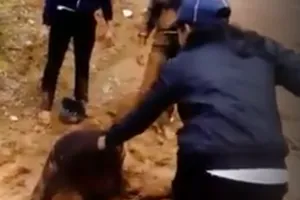 Học trò đánh ghen: Đừng đổ thừa mãi cho giáo dục 