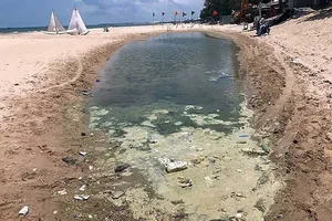 Cào cát dọn sạch bãi biển bị xử phạt!