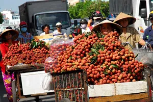 Xuất khẩu trái vải Việt Nam sang 30 nước 