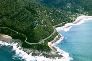 Tiếng gọi từ Sơn Trà 